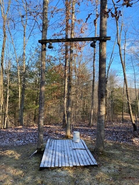 142 Cole Road Deer Lodge TN 37726