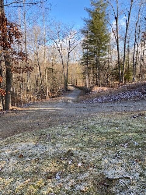 142 Cole Road Deer Lodge TN 37726