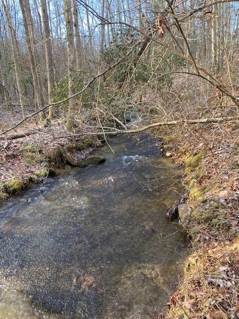 142 Cole Road Deer Lodge TN 37726