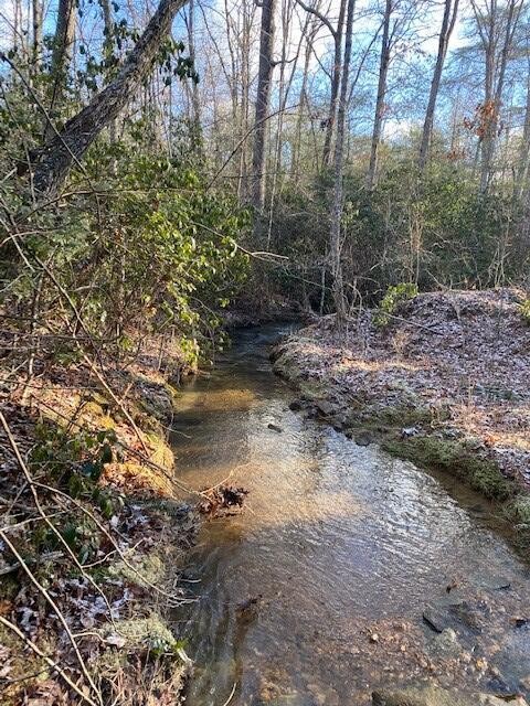 142 Cole Road Deer Lodge TN 37726