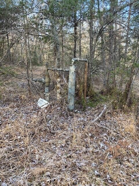 142 Cole Road Deer Lodge TN 37726