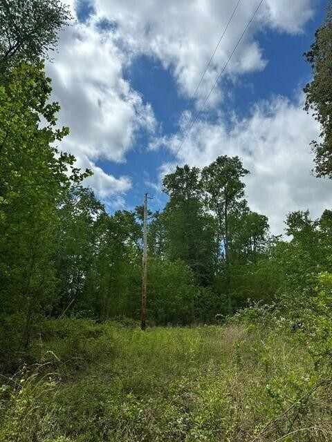 142 Cole Road Deer Lodge TN 37726
