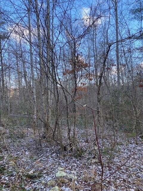 142 Cole Road Deer Lodge TN 37726