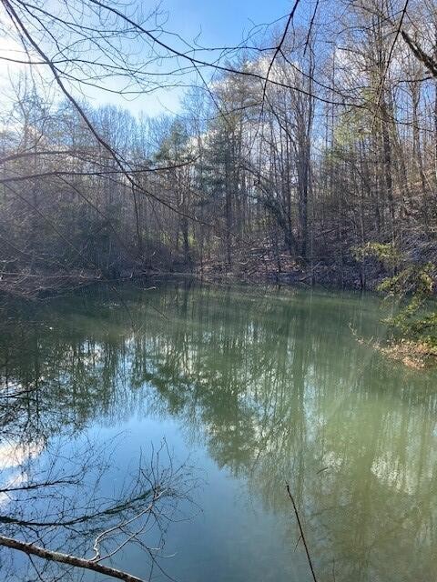142 Cole Road Deer Lodge TN 37726