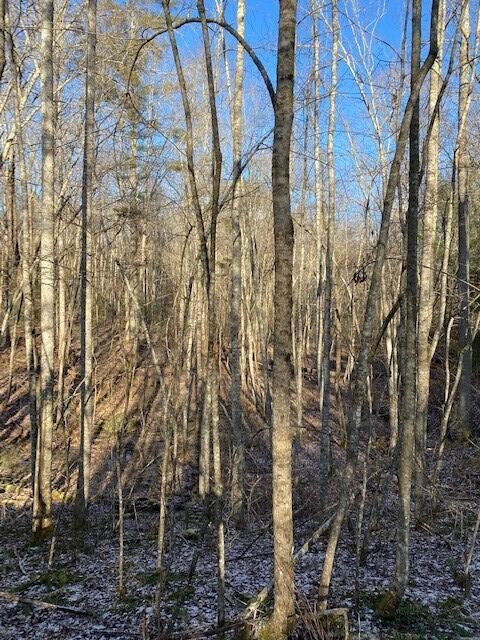 142 Cole Road Deer Lodge TN 37726