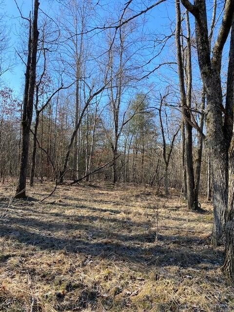 142 Cole Road Deer Lodge TN 37726