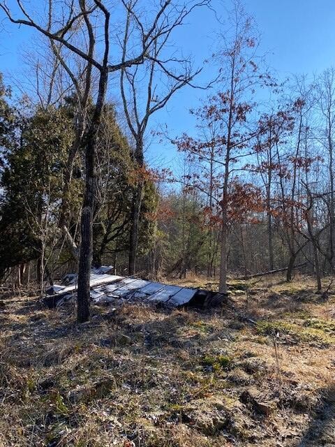 142 Cole Road Deer Lodge TN 37726