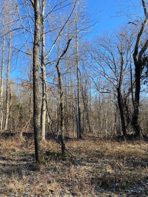142 Cole Road Deer Lodge TN 37726