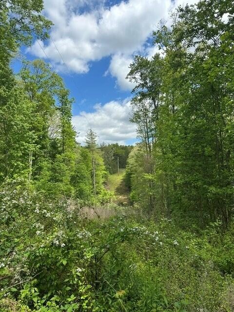 142 Cole Road Deer Lodge TN 37726