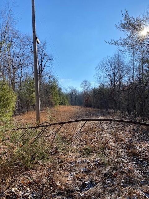 142 Cole Road Deer Lodge TN 37726