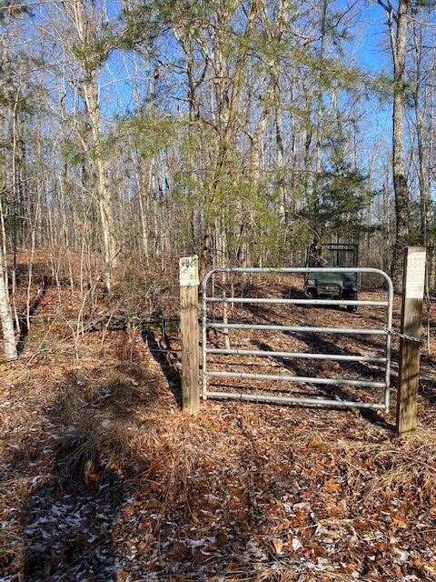 142 Cole Road Deer Lodge TN 37726