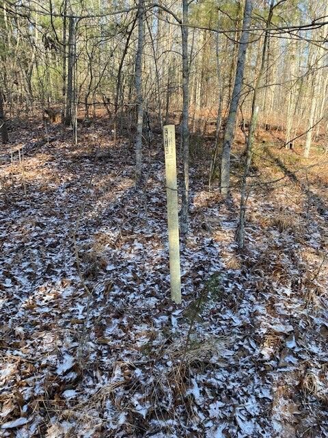 142 Cole Road Deer Lodge TN 37726