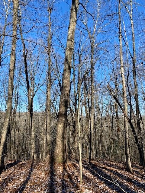 142 Cole Road Deer Lodge TN 37726