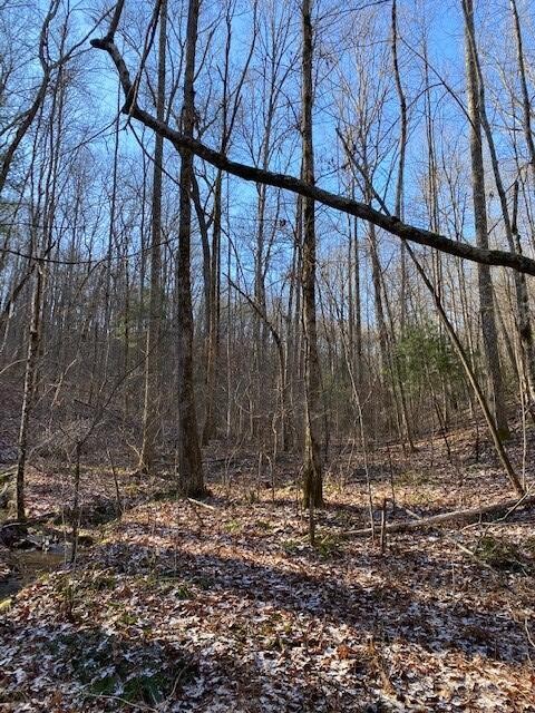142 Cole Road Deer Lodge TN 37726