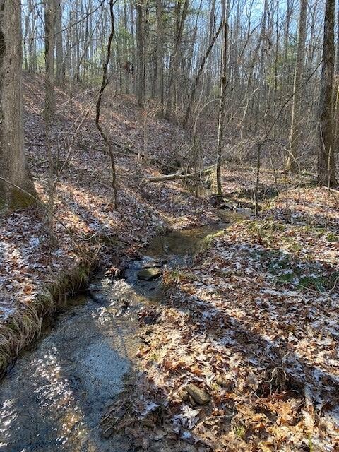 142 Cole Road Deer Lodge TN 37726