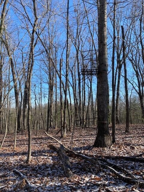 142 Cole Road Deer Lodge TN 37726