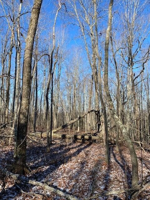 142 Cole Road Deer Lodge TN 37726