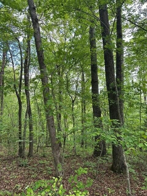 142 Cole Road Deer Lodge TN 37726