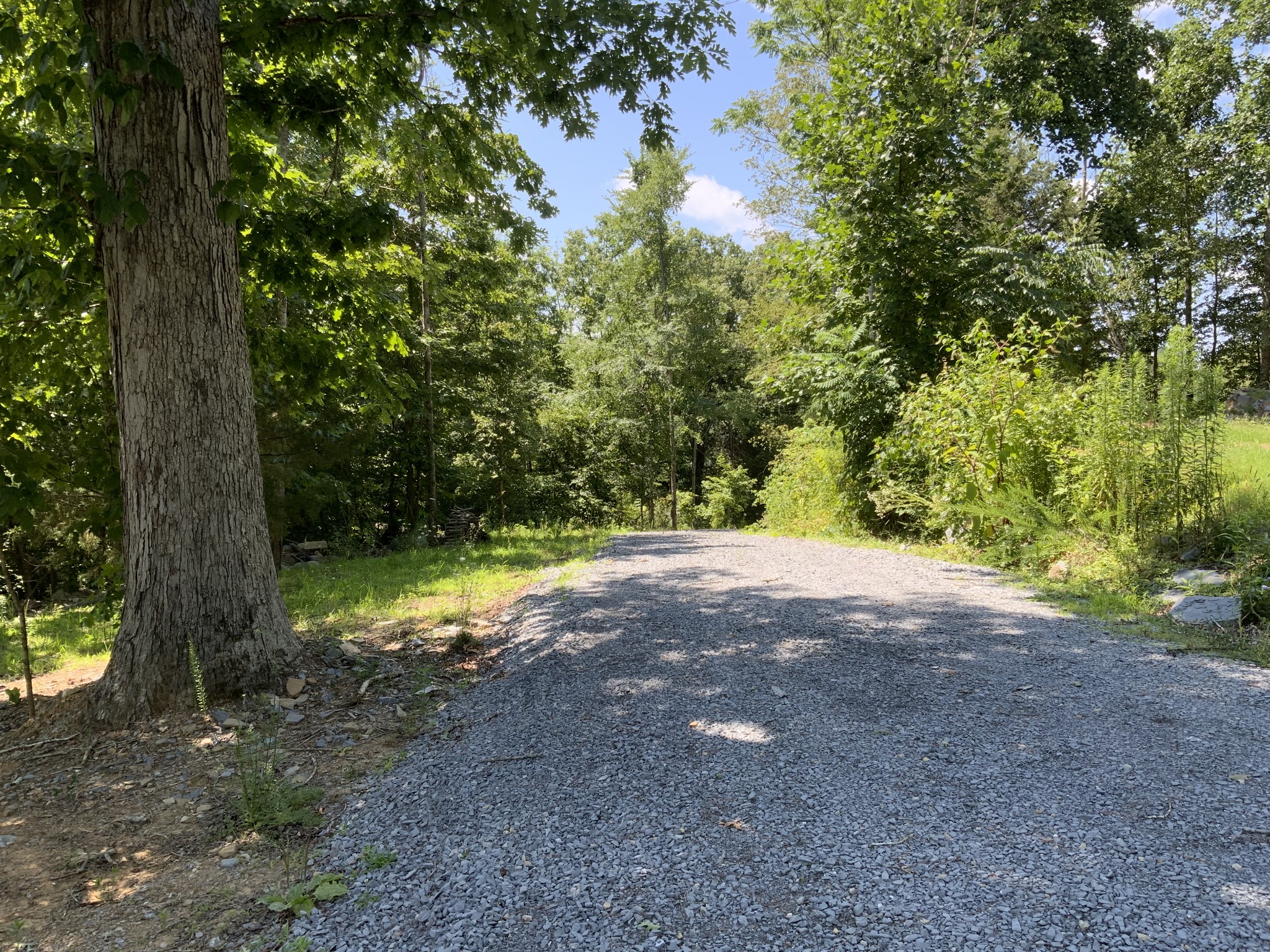 1 Mobleys Cut Road Thompsons Station TN 37179