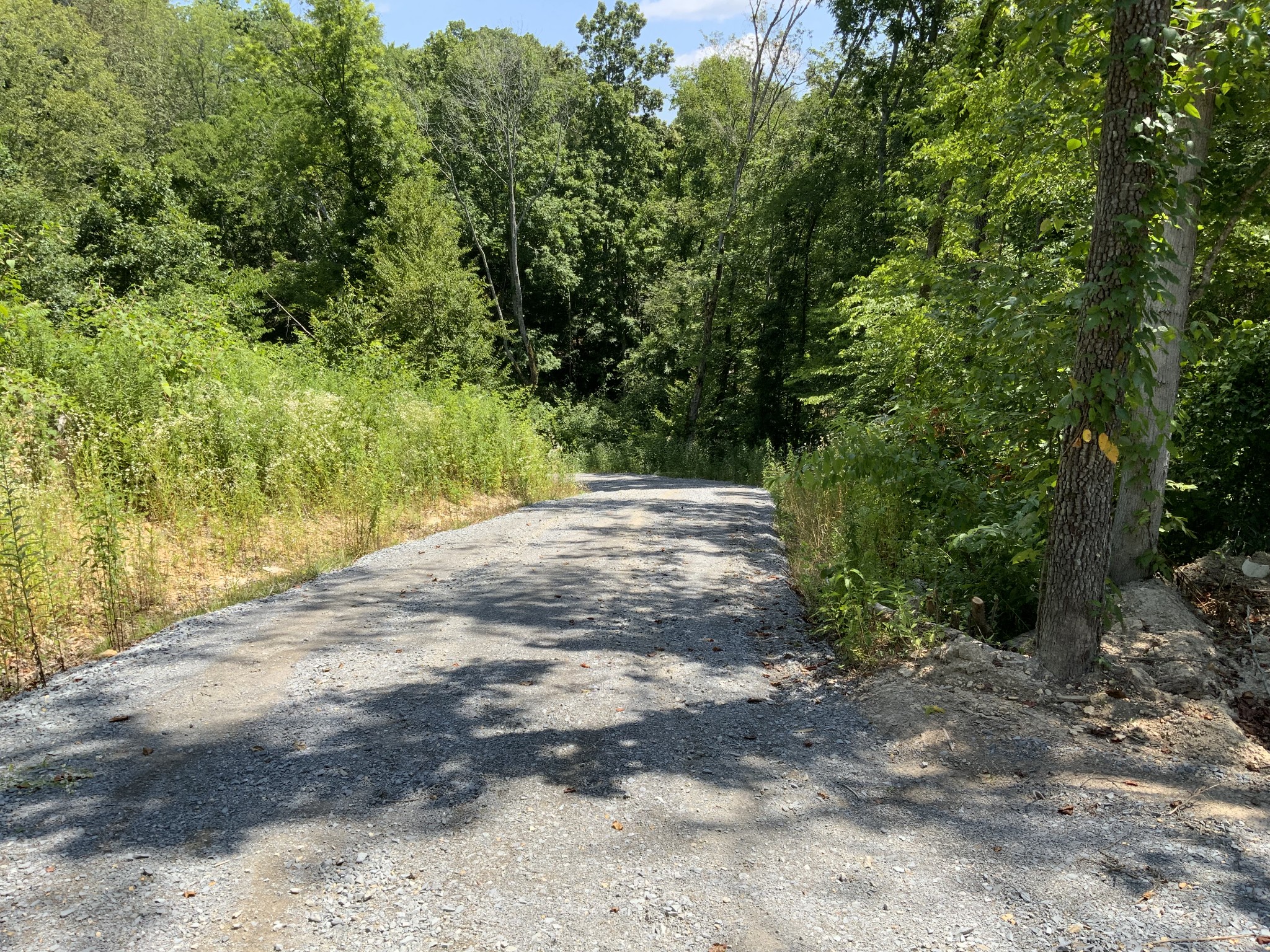 1 Mobleys Cut Road Thompsons Station TN 37179