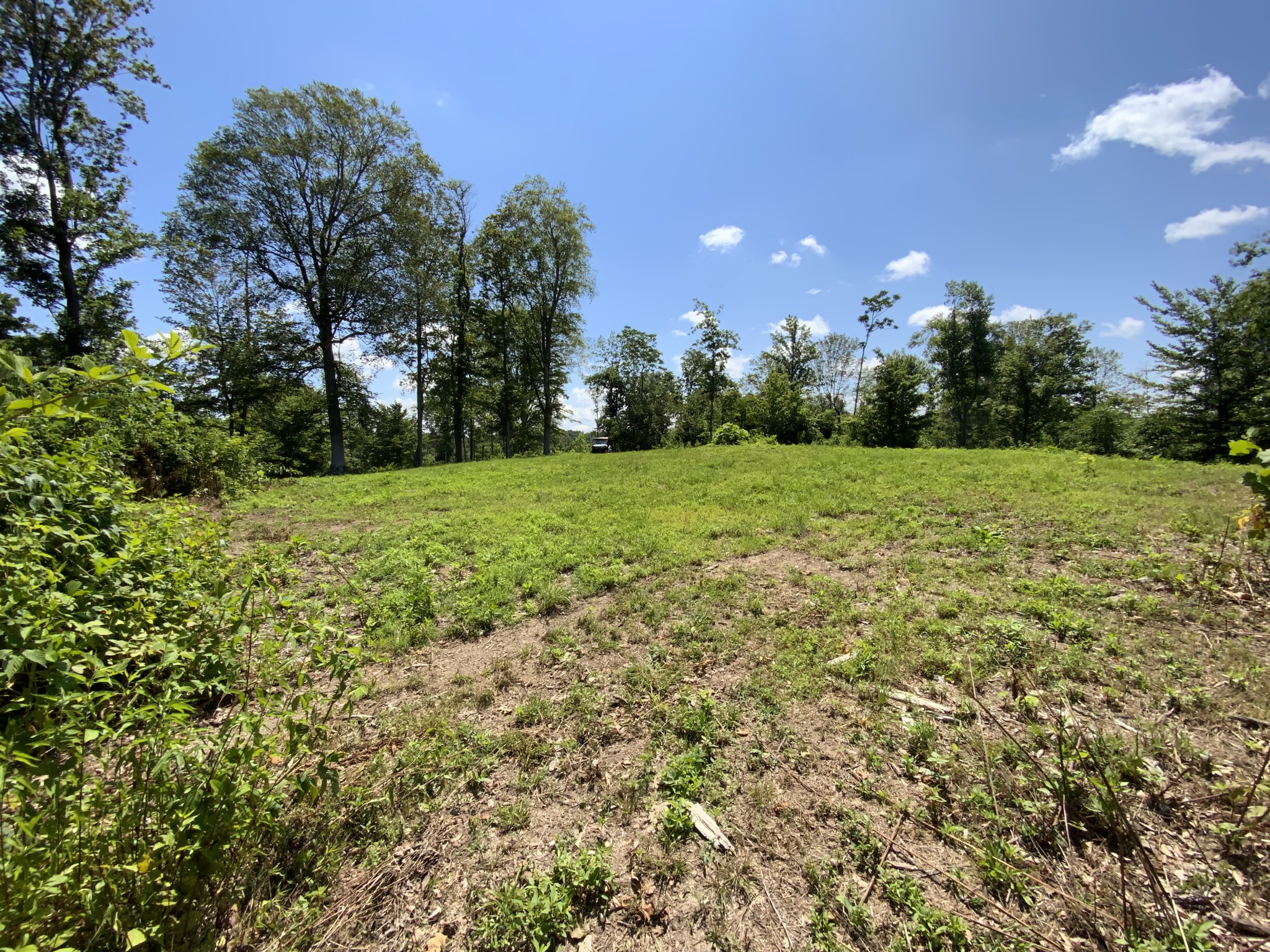 1 Mobleys Cut Road Thompsons Station TN 37179