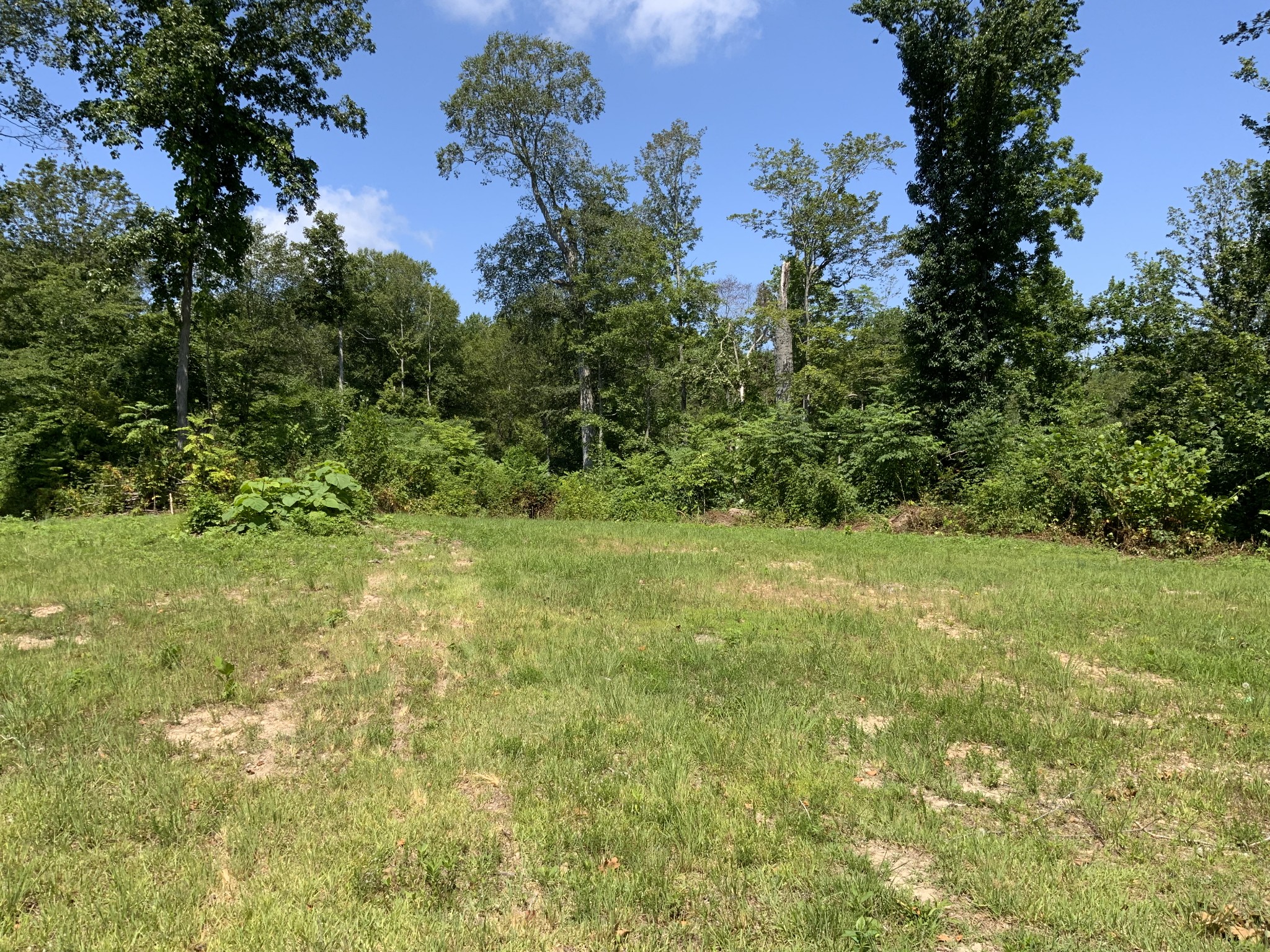 1 Mobleys Cut Road Thompsons Station TN 37179