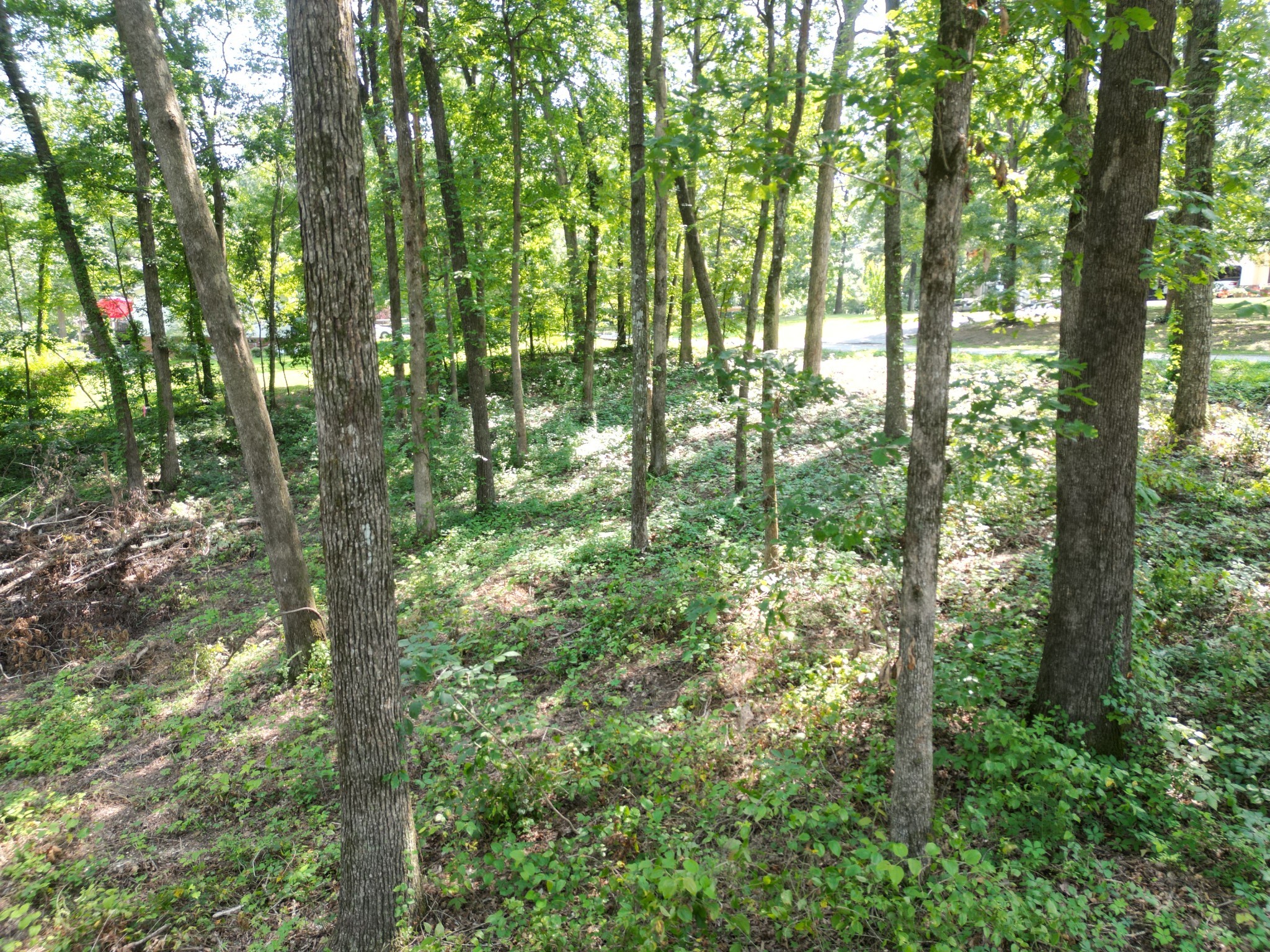 103 South Village Court Collinwood TN 38450