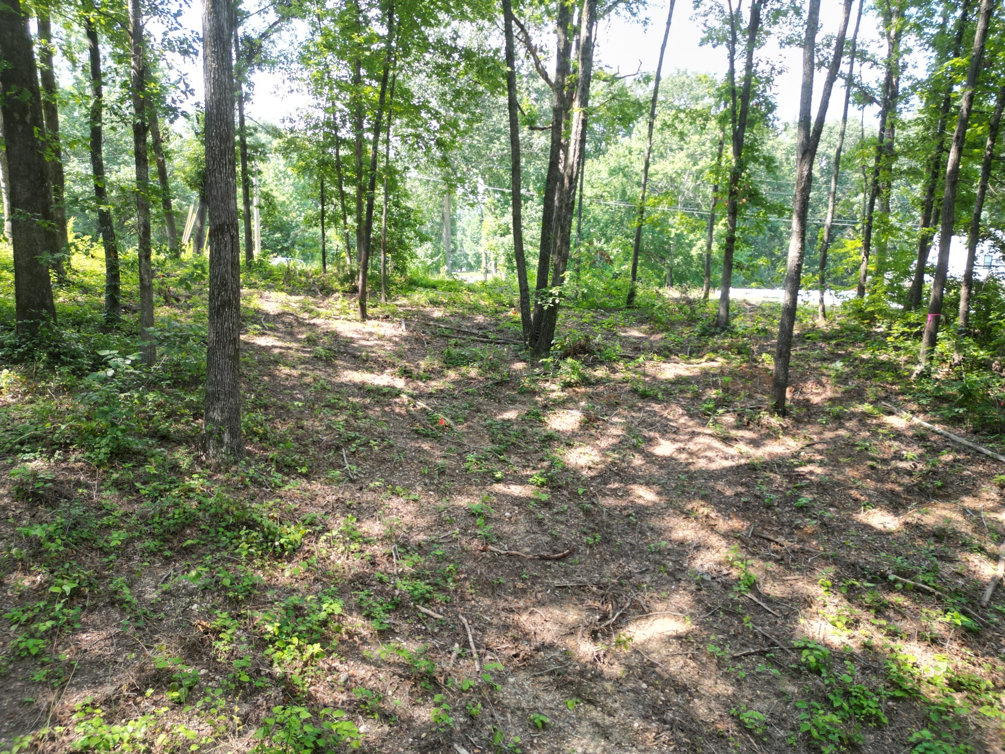 103 South Village Court Collinwood TN 38450