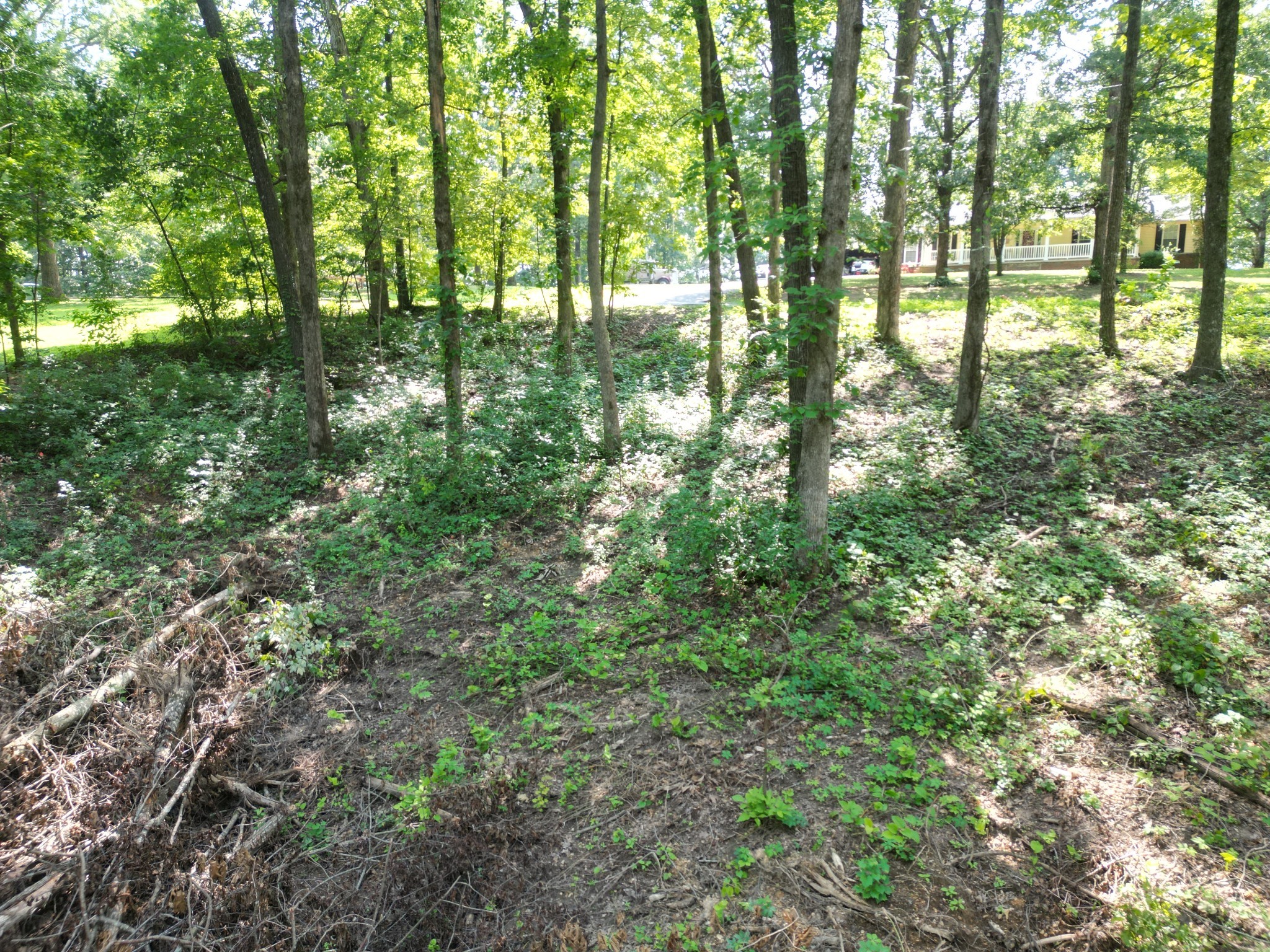 103 South Village Court Collinwood TN 38450