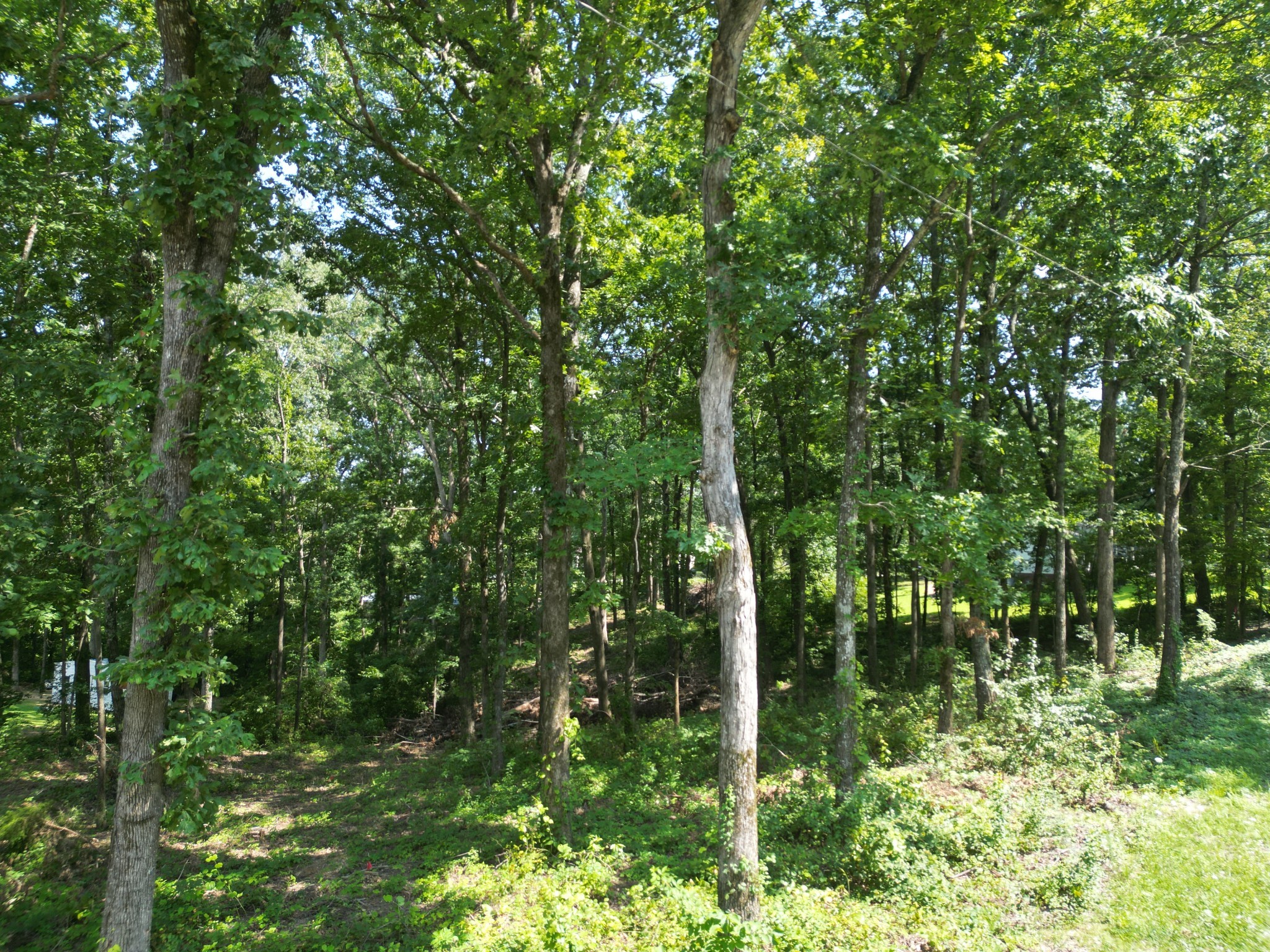 103 South Village Court Collinwood TN 38450