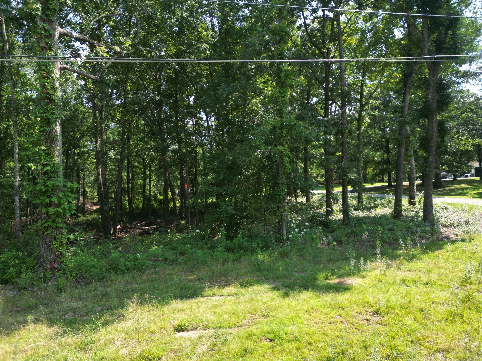 103 South Village Court Collinwood TN 38450