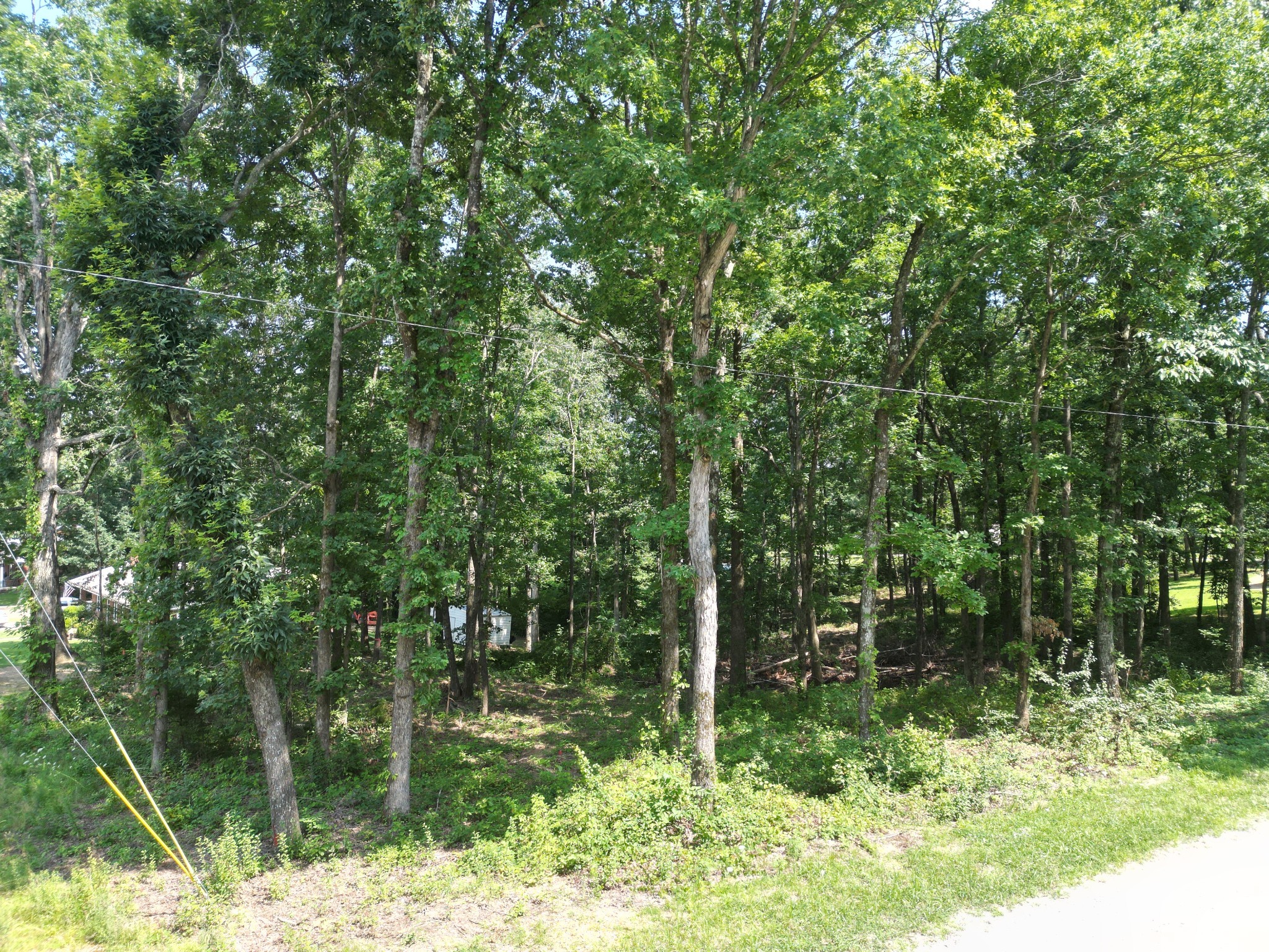103 South Village Court Collinwood TN 38450