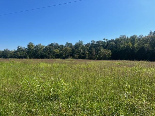 0 Gilliam Hollow Road Dickson TN 37055