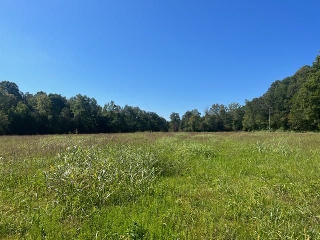 0 Gilliam Hollow Road Dickson TN 37055