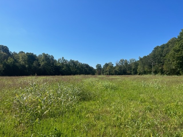 0 Gilliam Hollow Road Dickson TN 37055
