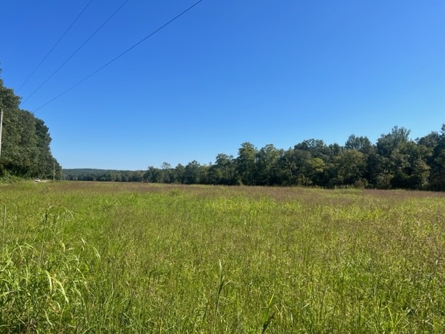 0 Gilliam Hollow Road Dickson TN 37055