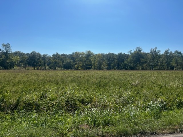 0 Gilliam Hollow Road Dickson TN 37055