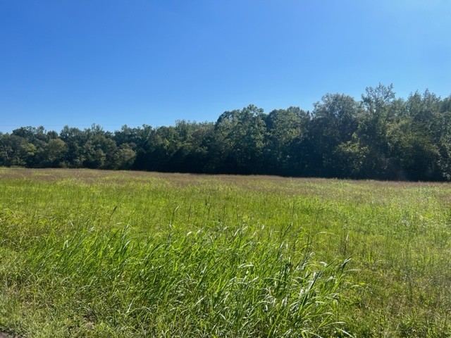 0 Gilliam Hollow Road Dickson TN 37055