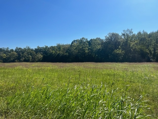 0 Gilliam Hollow Road Dickson TN 37055