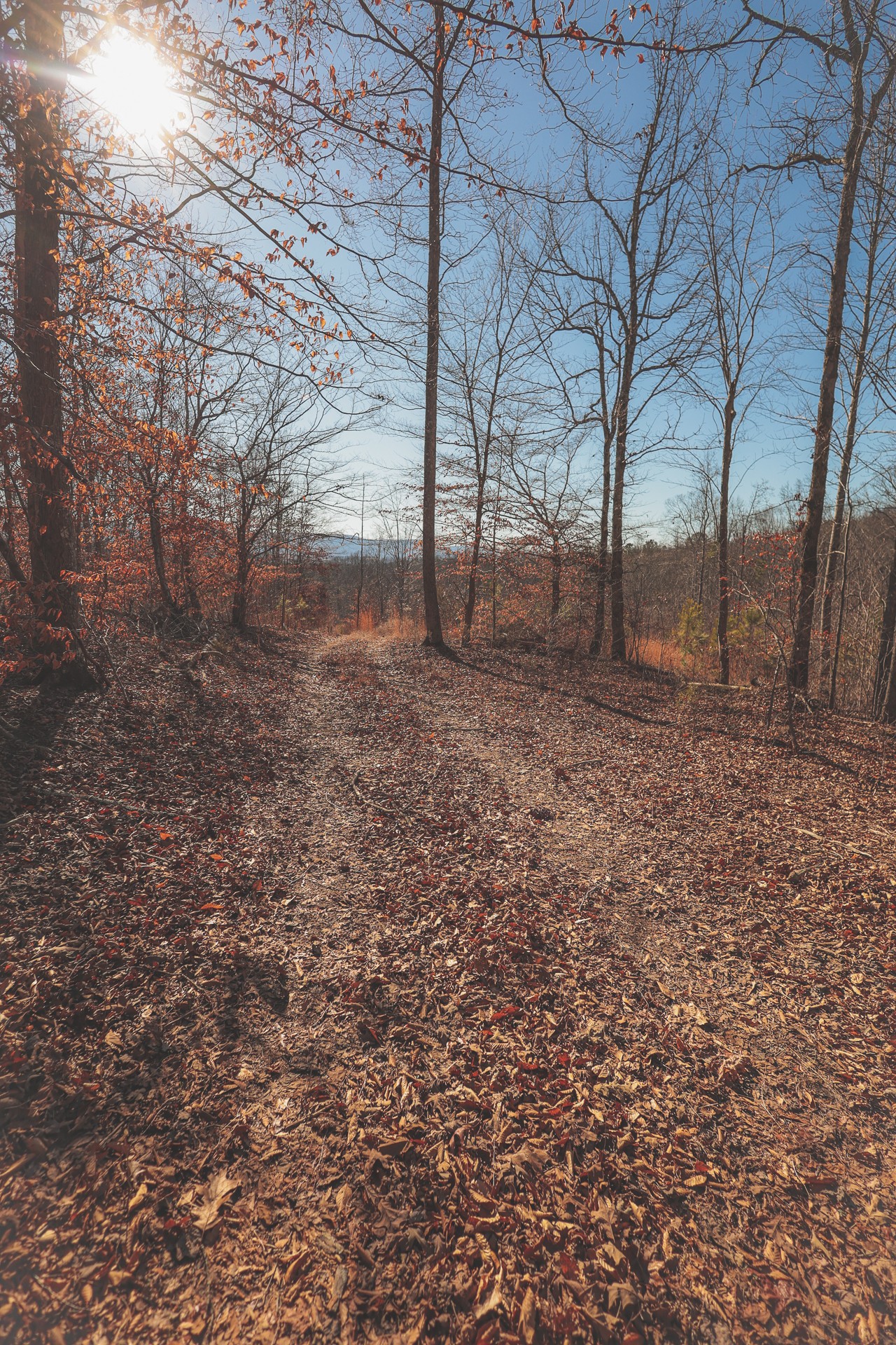 3211 Old State Highway 28 Dunlap TN 37327