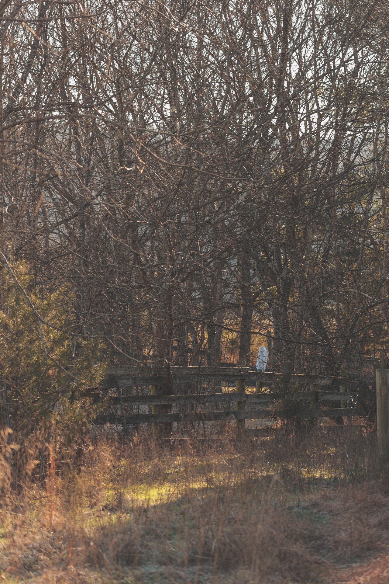3211 Old State Highway 28 Dunlap TN 37327