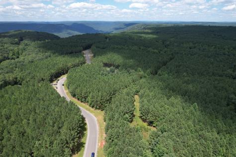 0 Crockett Point Jasper TN 37347