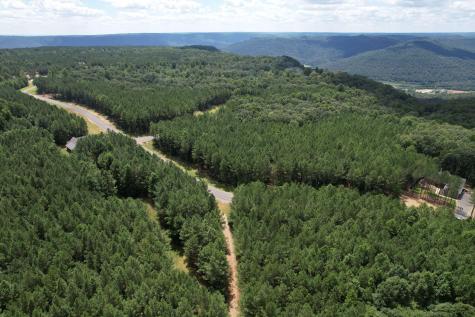 0 Crockett Point Jasper TN 37347