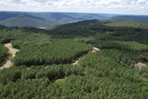 0 Crockett Point Jasper TN 37347