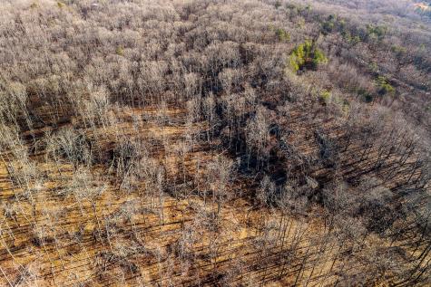 0 Valley View Drive Altamont TN 37301