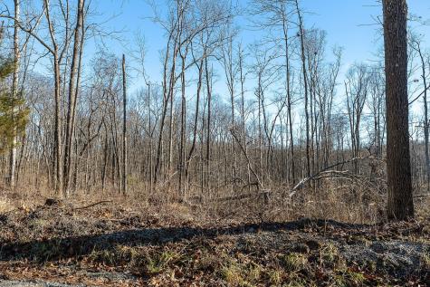 0 Valley View Drive Altamont TN 37301