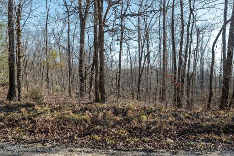 0 Valley View Drive Altamont TN 37301