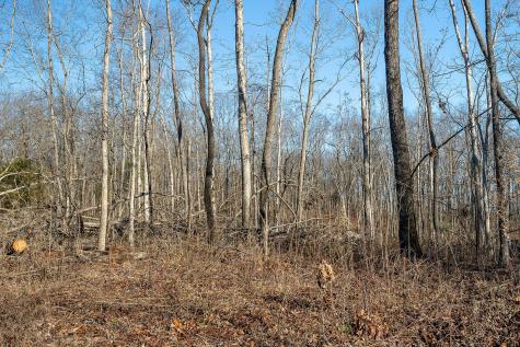 0 Valley View Drive Altamont TN 37301