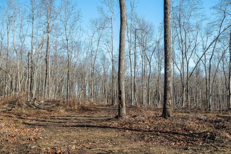 0 Valley View Drive Altamont TN 37301