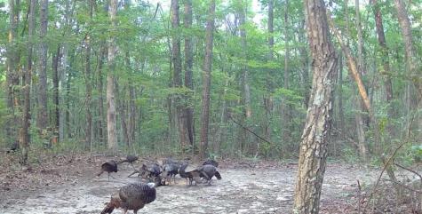 0 Valley View Drive Altamont TN 37301